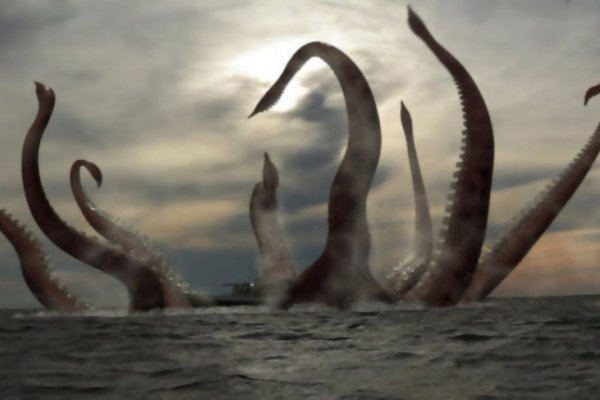 Kraken 22at
